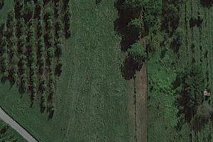 Terreno Agricolo / Spazio Green