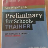 Preliminary for school trainers