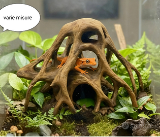 tronco radice per acquario terrario teca, spedisco