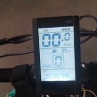 Bicicletta elettrica