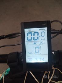 Bicicletta elettrica