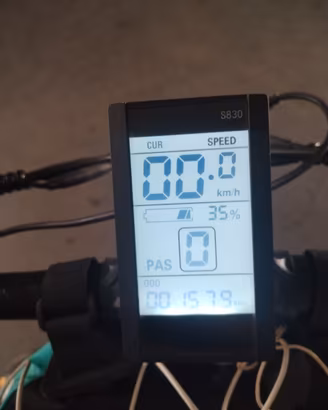 Bicicletta elettrica