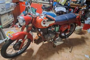 🏍️ Gilera Giubileo 98