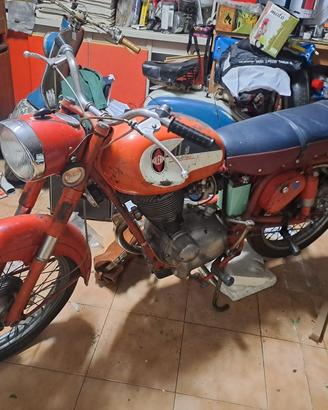 🏍️ Gilera Giubileo 98