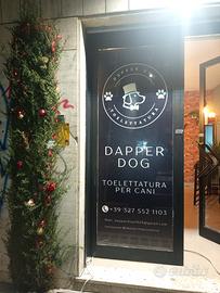 Negozio di toelettatura a Roma