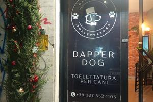 Negozio di toelettatura a Roma