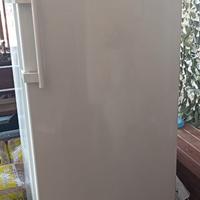 Congelatore Liebherr