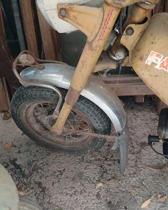 Fantic Motor "Fantichino" minibike