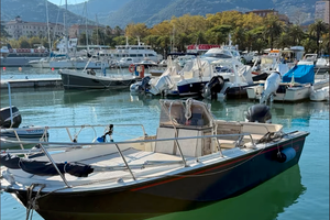 Boston Whaler 20' Outrage - Motore Verado 200CV