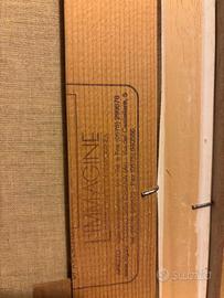 Sughi Alberto olio 40x50