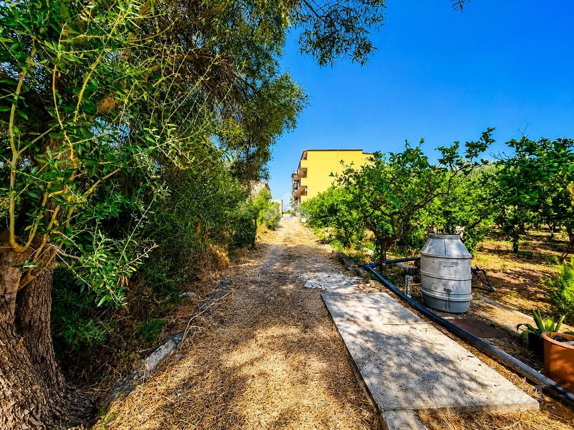 TER. AGRICOLO A FICARAZZI - Altro