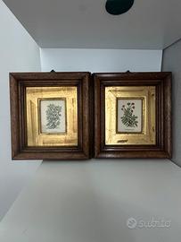 Coppia quadretti botanici - Centenari Milano