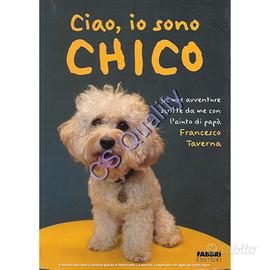 Ciao io sono Chico - Francesco Taverna