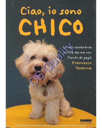 Ciao io sono Chico - Francesco Taverna