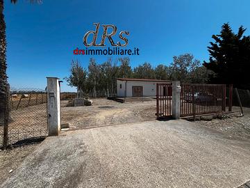 Marina di Pisticci. Pioppeto vicinanze mare