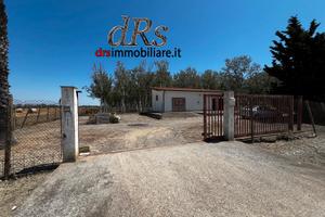 Marina di Pisticci. Pioppeto vicinanze mare