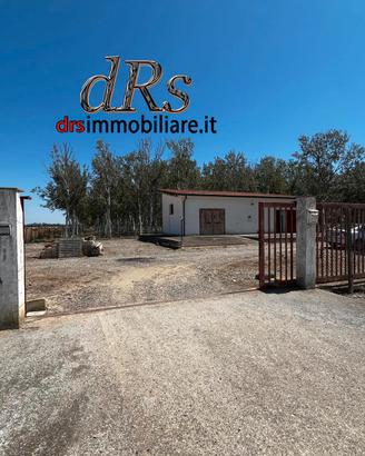 Marina di Pisticci. Pioppeto vicinanze mare