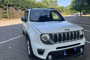 Renegade 2019 1.0 t3 Limited 2wd