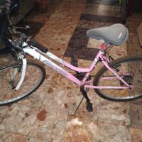 Bicicletta donna 26