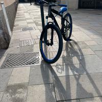 Whellie bike