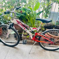 Bici mountain bike 24 pollici