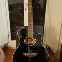 Chitarra APX 500