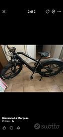 Bici elettrica