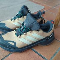 Adidas Terrex Skychaser AX5