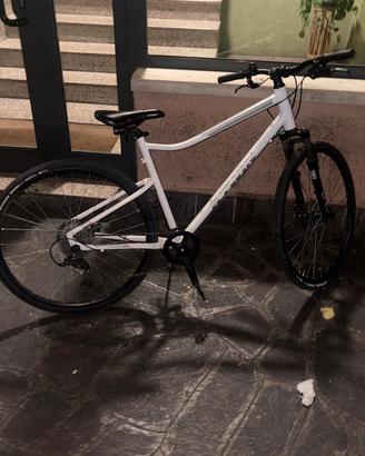 Bici bitwin