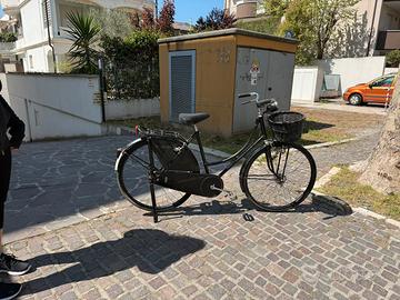 Bici da passeggio holland