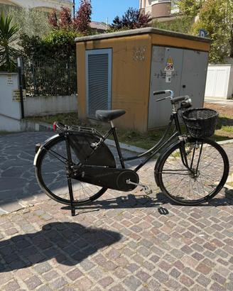 Bici da passeggio holland