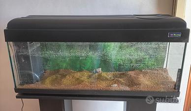 Acquario 100 litri