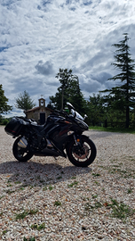 Splendida z 1000 sx total balck