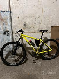 CANNONDALE TRAIL 29 L