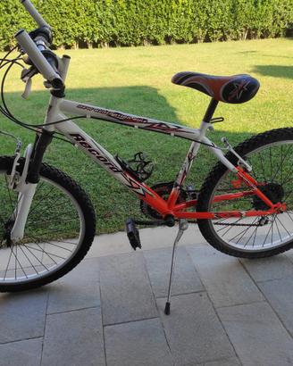 Bicicletta Mountain Bike