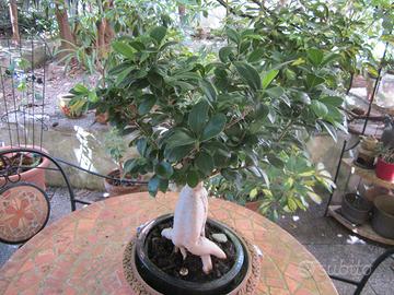 Stanza con bagno privato vicino Stazione Principe