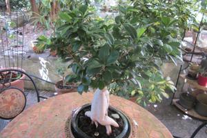 Stanza con bagno privato vicino Stazione Principe