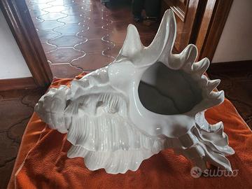 conchiglia in porcellana