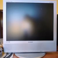 TV monitor Samsung 18,5  pollici