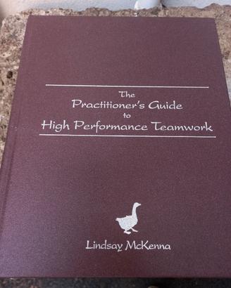 libro di “Project Management Hight performance