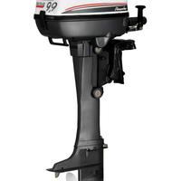 Motore Fuoribordo Selva 9.9 cavalli Piranha