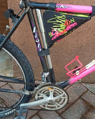 Mountain bike "Liotto"