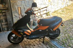 Benelli 491 GT