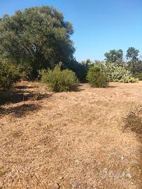 Terreno a san sperate 800mq