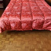 Trapunta matrimoniale in piumino d'oca DAUNEN STEP