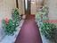 Immagine 26