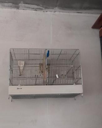 gabbia per volatili
