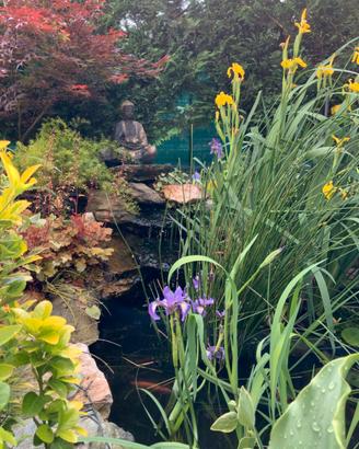 Laghetto da giardino