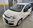 fiat-panda-1-2-easy-2019-unico-proprietario