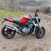 MV Agusta Brutale - 2004
